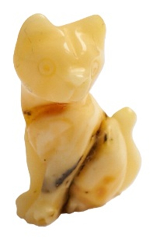 Katze „Gelblich, Weiß“